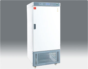 ̩˹˹RGX-300EF